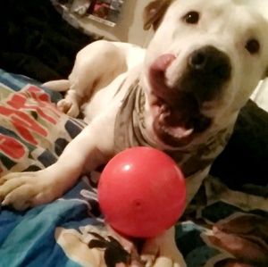 Meet your Posher, Jay